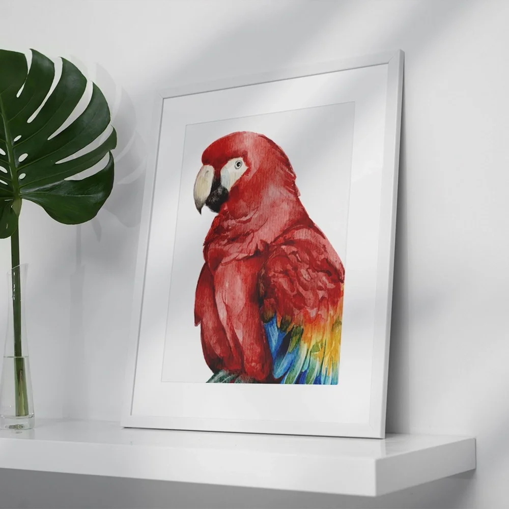 Red Macaw Parrot Bird Watercolor Wall Art Print Poster Unframed - Picture 4 of 8